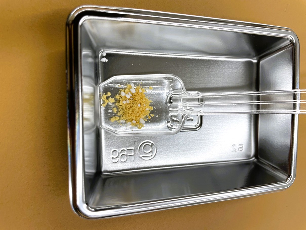 塩を加えたうま藻のサンプル